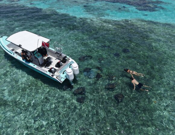 Snorkel Sting Ray City 