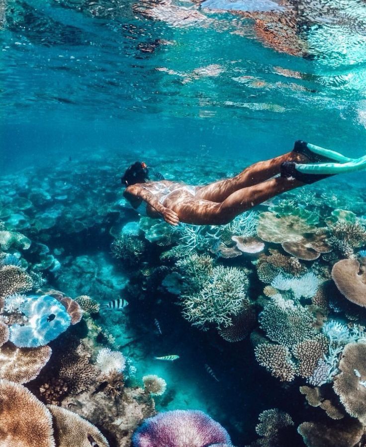 Mexico Rocks + Sting Ray City