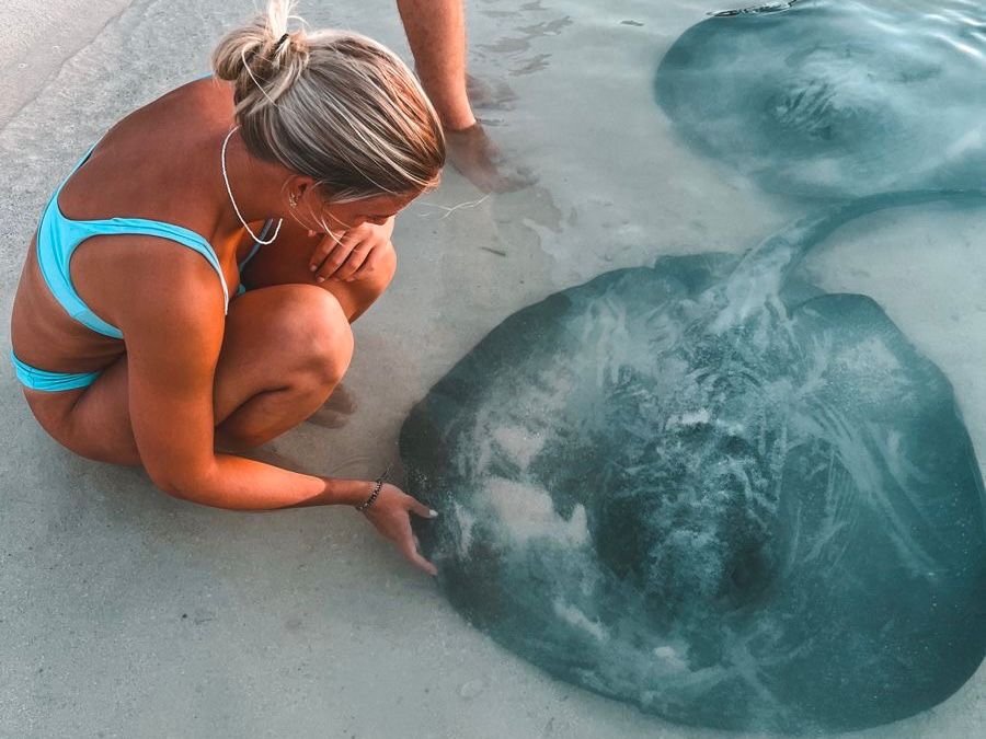 Half-Day Caye Caulker Manatee Watch