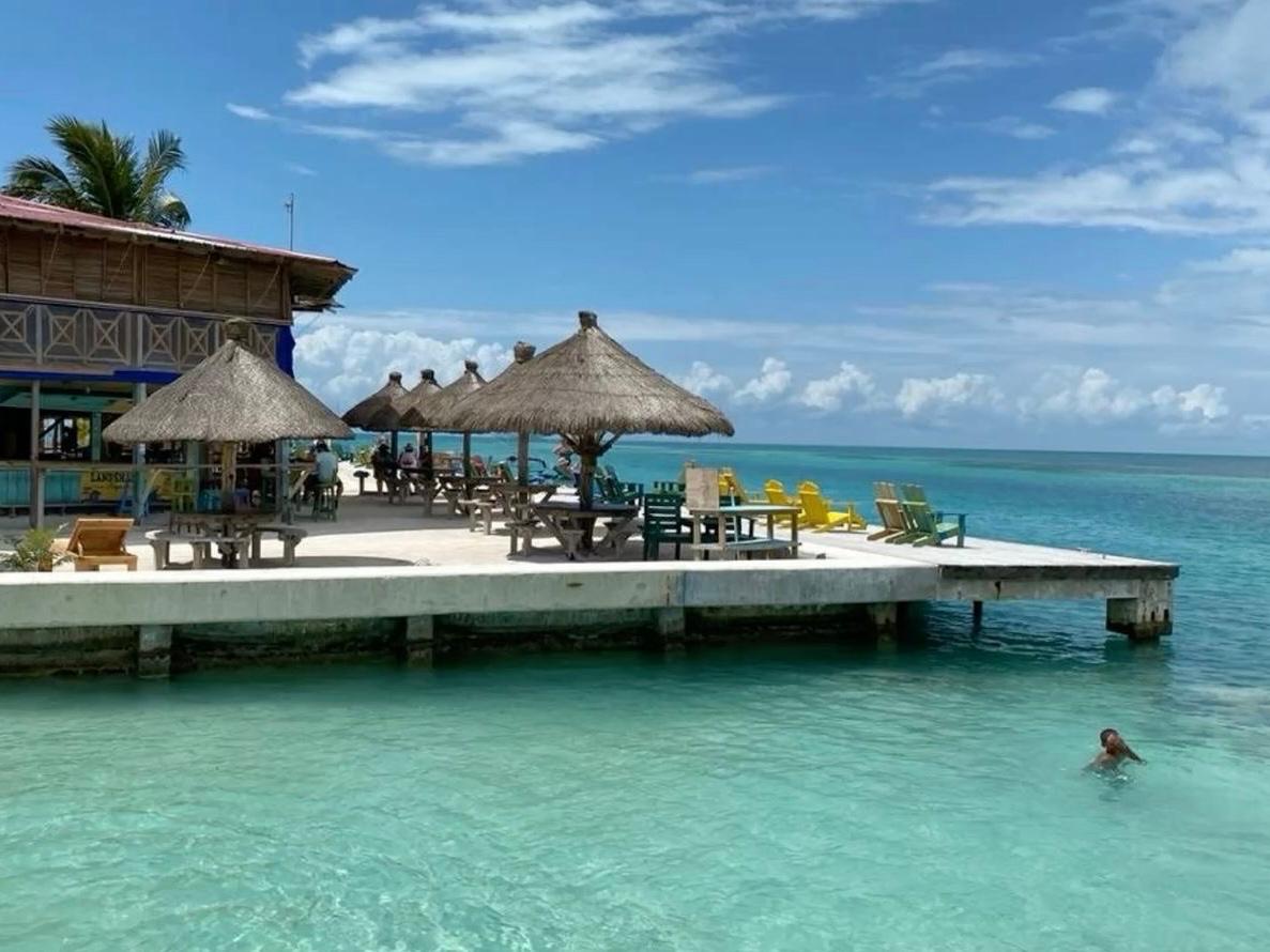 Full-Day Caye Caulker Manatee Watch
