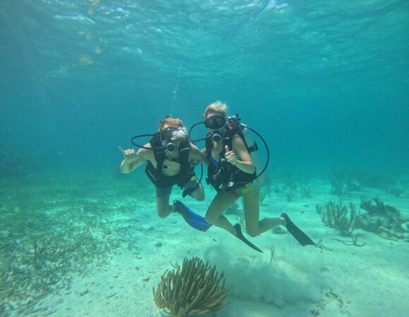 Dive Buddies 