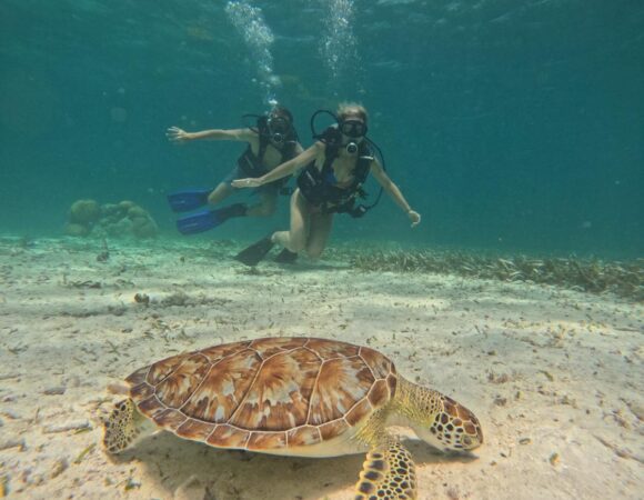 Swimming with locals